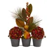 Homplanti 17" Hydrangea Pears And Magnolia Leaf Arrangement In Vase