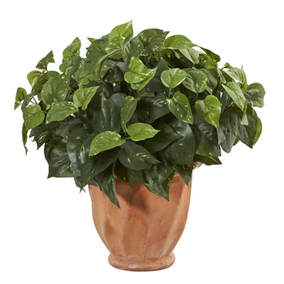 Homplanti 17" Pothos In Terracotta Planter