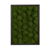 Homplanti 17" X 24" Artificial Moss Hanging Frame
