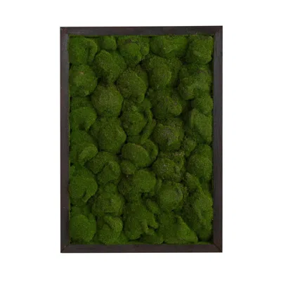 Homplanti 17" X 24" Artificial Moss Hanging Frame
