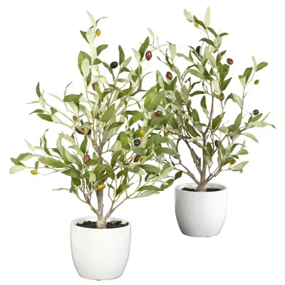 Homplanti 18" Olive Tree W/vase (set Of 2)