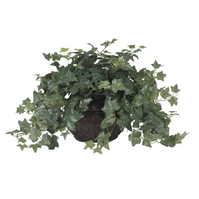 Homplanti 18" Puff Ivy W/vase