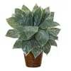 Homplanti 18" Silver Aglonema Artificial Plant In Basket (real Touch)