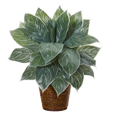 Homplanti 18" Silver Aglonema Artificial Plant In Basket (real Touch)