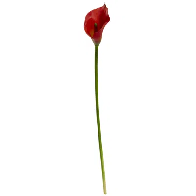 Homplanti 19.5" Calla Lily Artificial Flower (set Of 12) In Red