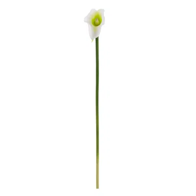 Homplanti 19.5" Calla Lily Artificial Flower (set Of 12) In Green
