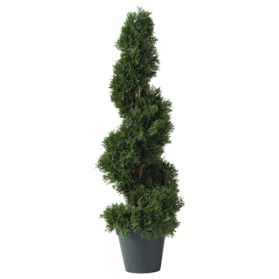 Homplanti 2' Cedar Spiral Tree W/452 Lvs