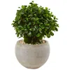 Homplanti 2' Eucalyptus In Bowl Uv Resistant (indoor/outdoor)