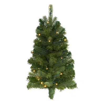 Homplanti 2' Flat Back Wall Hanging Christmas Tree With 20 Clear Leds In Green