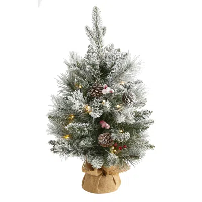 Homplanti 2' Flocked Xmas Tree W/30 Lights, 73 Tips, Cones & Berries In Multi