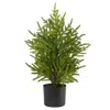 Homplanti 2' Norfolk Island Pine "natural Look" Tree In Planter