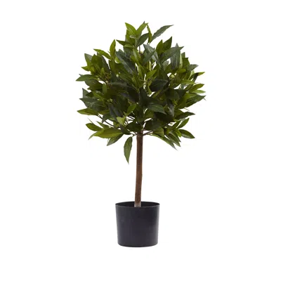 Homplanti 2' Sweet Bay Mini Ball Topiary W/259 Lvs