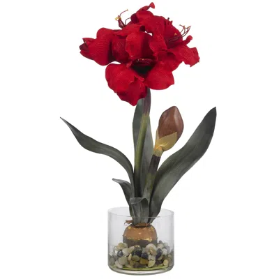 Homplanti 20" Amaryllis W/vase