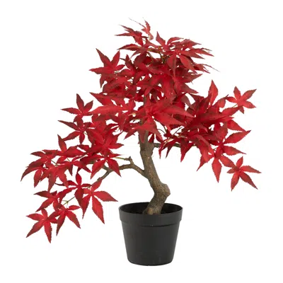 Homplanti 20" Autumn Maple Bonsai