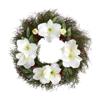 Homplanti 20" Cedar Amaryllis And Ruscus With Berries Wreath In Multi