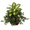 Homplanti 20" Dieffenbachia & Ivy W/decorative Planter