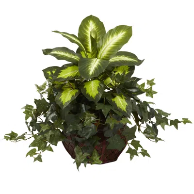 Homplanti 20" Dieffenbachia & Ivy W/decorative Planter