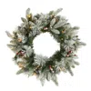 Homplanti 20" Flckd Wreath W/50 Leds, Pine Cones, Berries & 130 Tips