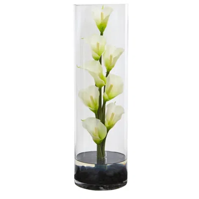 Homplanti 20" Mini Calla Lily In Cylinder Glass Vase In Black