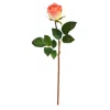 Homplanti 20" Rose Artificial Bud Flower (set Of 6)