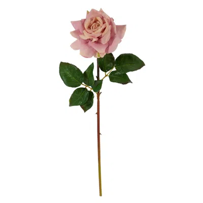 Homplanti 20" Rose Artificial Flower (set Of 6)
