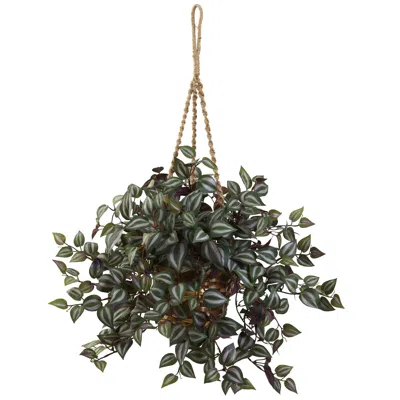 Homplanti 20" Wandering Jew Hanging Basket