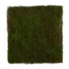 Homplanti 20" X 20" Artificial Moss Mat