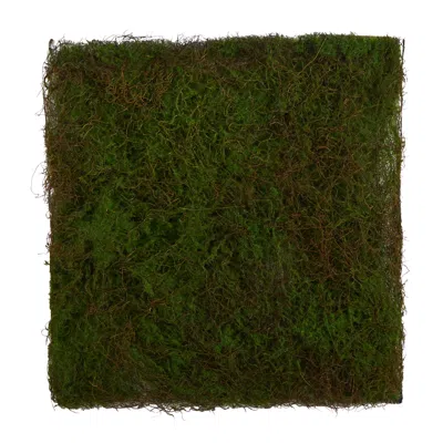 Homplanti 20" X 20" Artificial Moss Mat