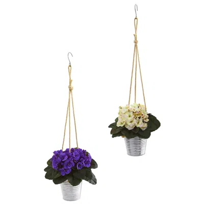 Homplanti 21" African Violet Plant In Hanging Bucket (set Of 2) In Blue
