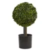 Homplanti 21" Boxwood Ball Topiary