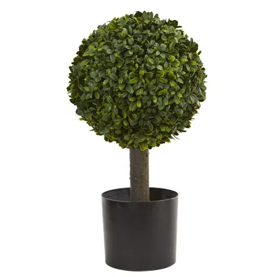 Homplanti 21" Boxwood Ball Topiary