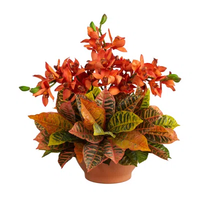 Homplanti 21" Cymbidium Orchid And Croton Arrangement In Vase