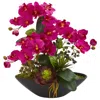 Homplanti 21" Phalaenopsis Orchid And Mixed Succulent Garden In Vase