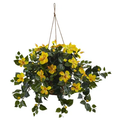 Homplanti 22" Hibiscus Hanging Basket Yellow In Green