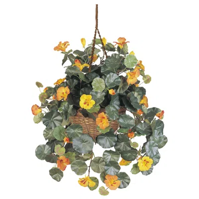 Homplanti 22" Nasturtium Hanging Basket