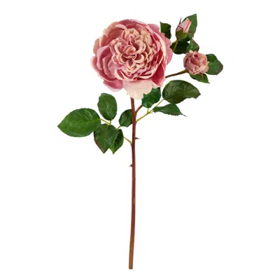 Homplanti 22" Rose Artificial Flower (set Of 6)