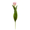 Homplanti 22" Tulip Artificial Flower (set Of 8)