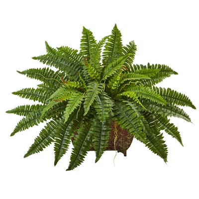 Homplanti 23" Boston Fern In Metal Planter In Black