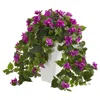 Homplanti 23" Bougainvillea Plant In White Tower Planter