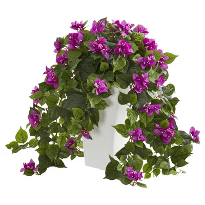 Homplanti 23" Bougainvillea Plant In White Tower Planter In Green