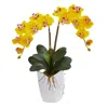 Homplanti 23" Double Phalaenopsis Orchid In White Vase