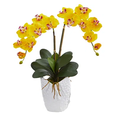 Homplanti 23" Double Phalaenopsis Orchid In White Vase