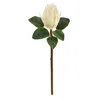 Homplanti 23" King Protea Artificial Flower (set Of 4)