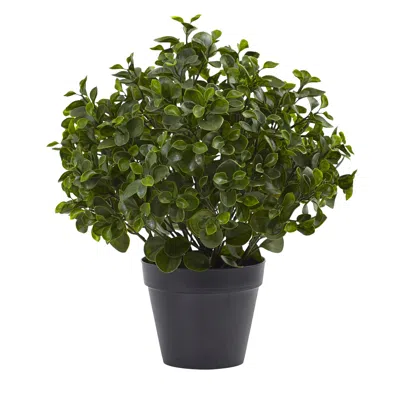 Homplanti 23" Peperomia Plant Uv Resistant (indoor/outdoor) In Black