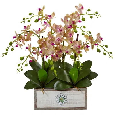 Homplanti 23" Phalaenopsis Orchid Arrangement In Decorative Wood Vase