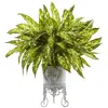 Homplanti 24" Aglaonema With Metal Planter