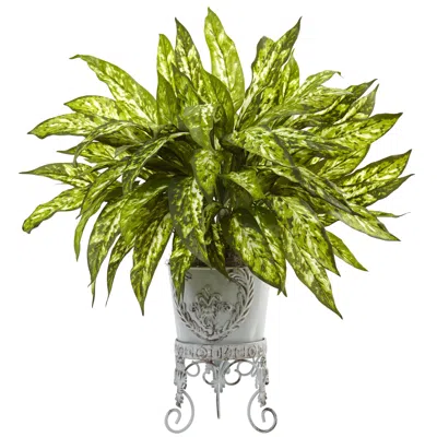 Homplanti 24" Aglaonema With Metal Planter