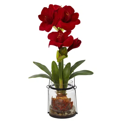 Homplanti 24" Amaryllis W/vase