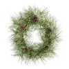 Homplanti 24" Iced Pine Artificial Wreath With Pine Cones