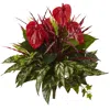 Homplanti 24" Mixed Anthurium Bush (set Of 2)